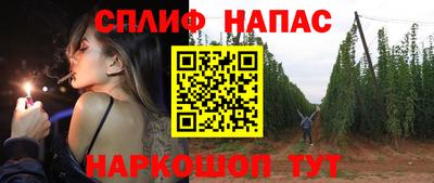 СК Севастополь